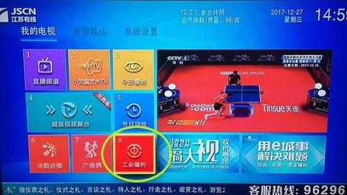 免费国产福利视频,免费资源一网打尽